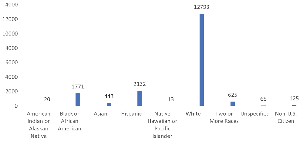 Figure 2. Undergraduate Race/Ethnicity Fall 2020