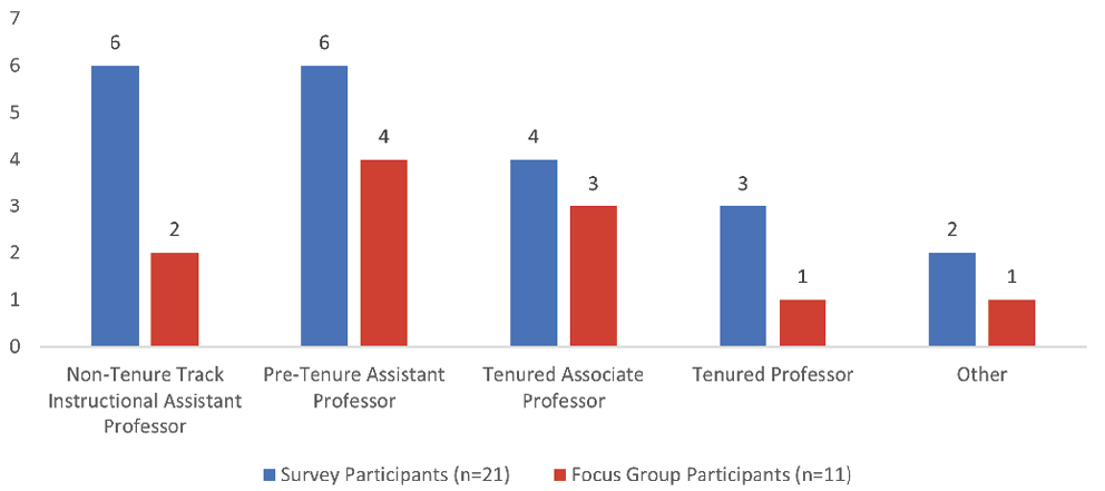 Figure 4. Title/Tenure Status Of Participants