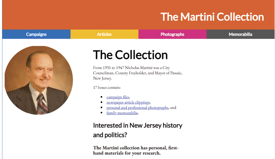 Figure 4. Custom Online Summary Description Demonstrating Information Design