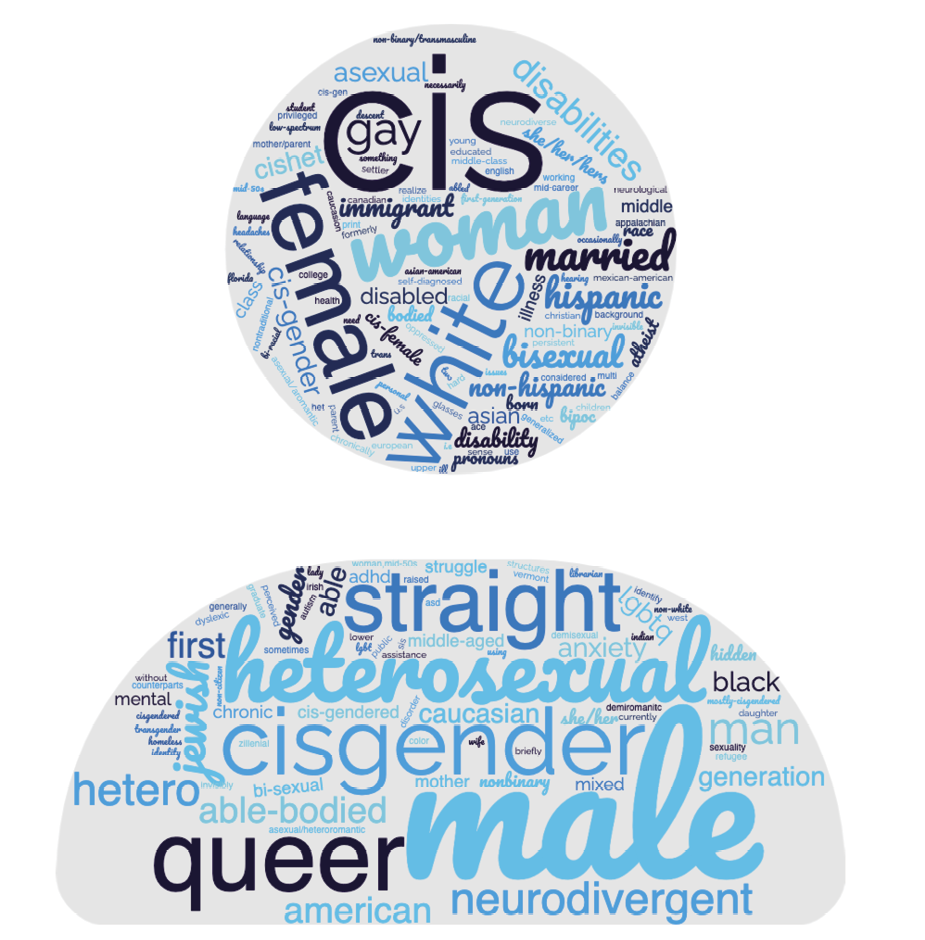 Figure 4. Word Cloud of Responses to Tell Us About Your Identities (e.g., Dis/Abilities, Ethnicities, Gender Identity, Race, Sexual Orientation, etc.)